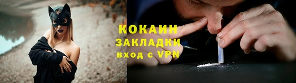 PSILOCYBIN Ельня