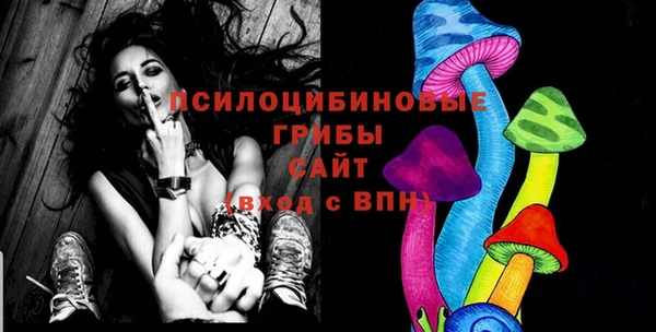винт Дмитров
